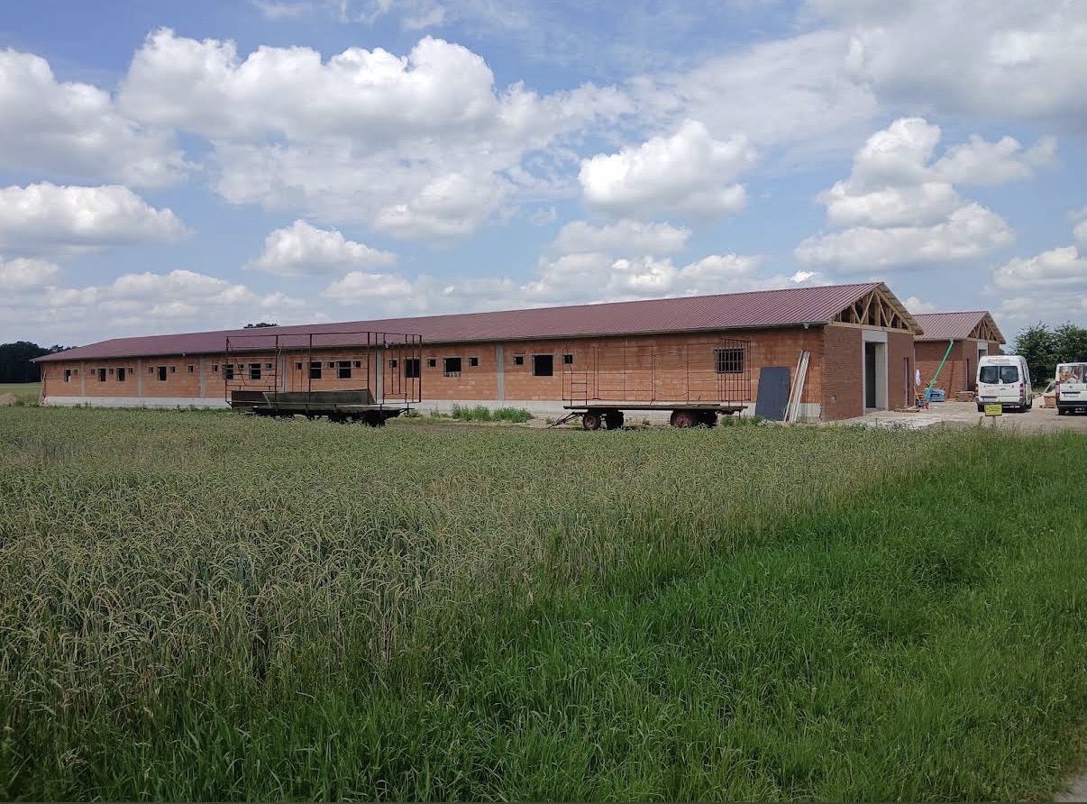 Fertig gestellter Neubau mit rotem Dach und Ziegelfassade vor grünen Feldern
