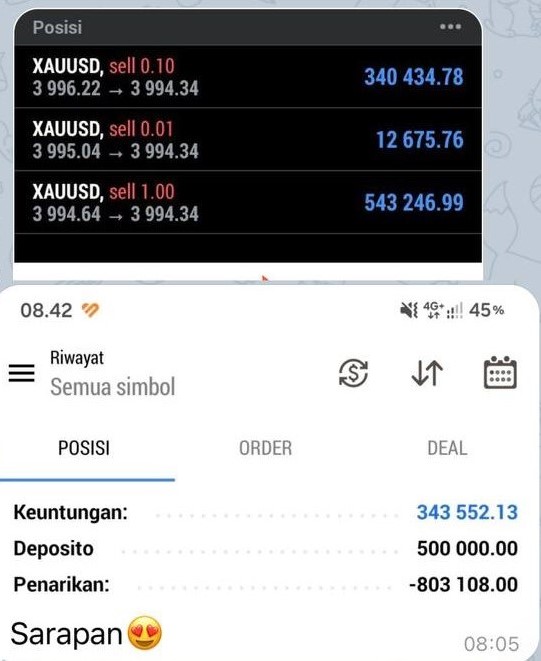 Profit Rama 343K