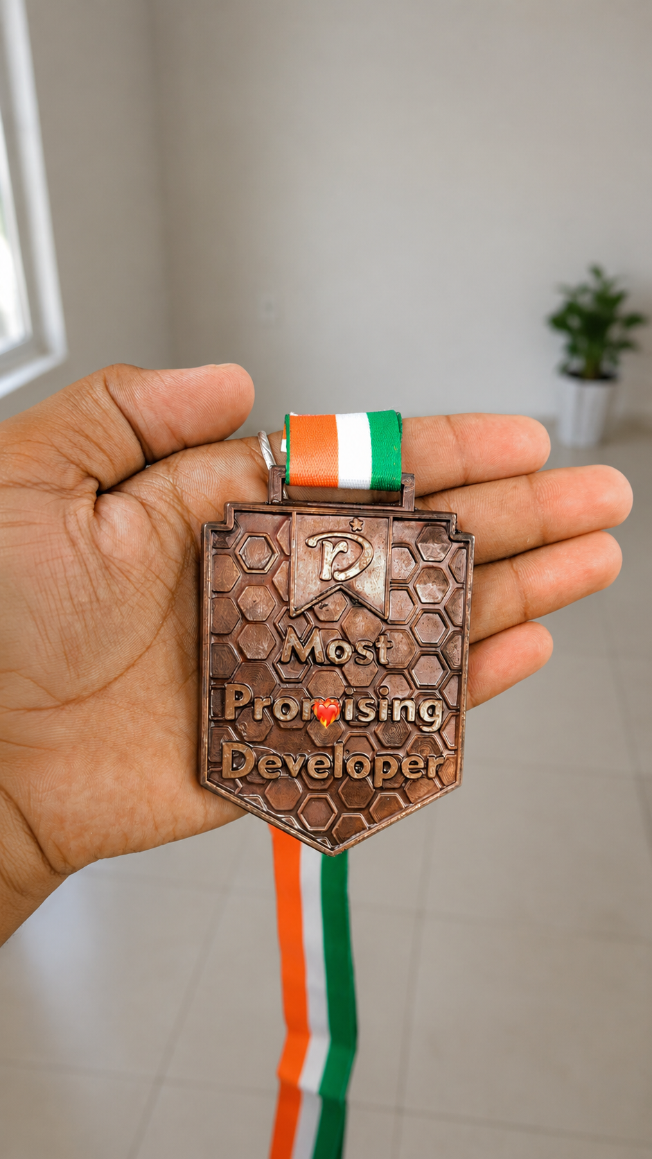 Most Promising Developer Medal