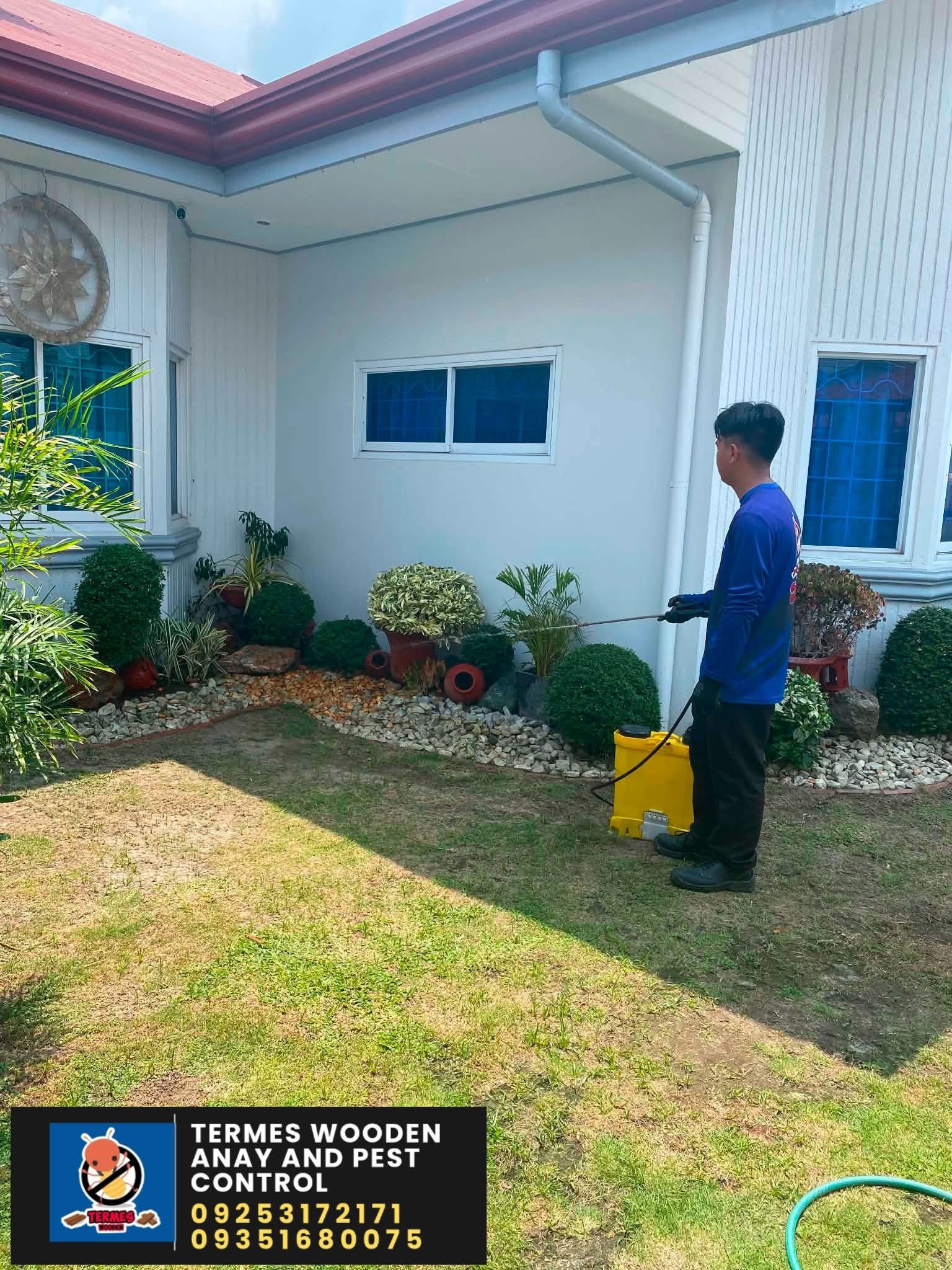 TERMES technician spraying house exterior