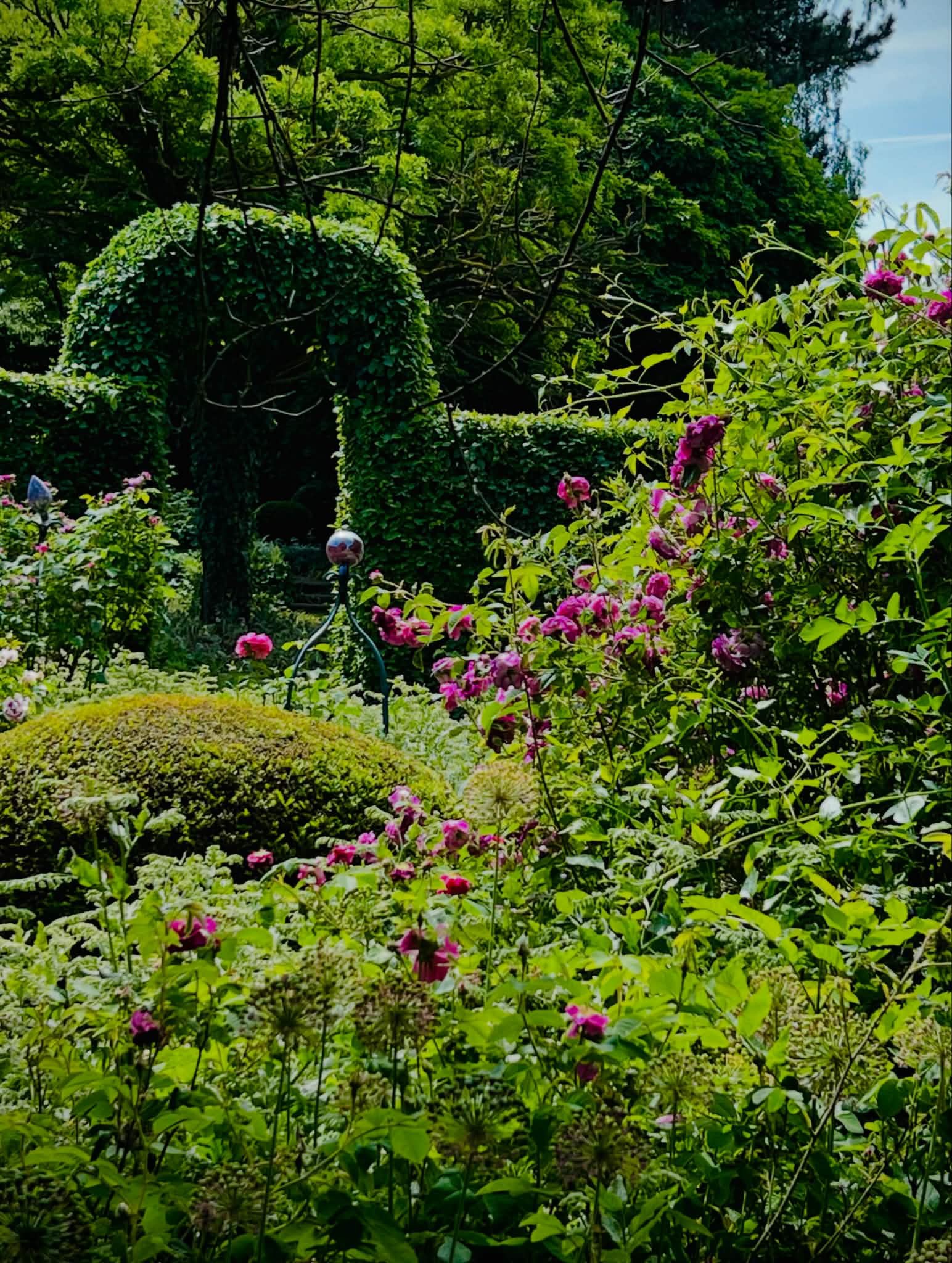 Garten mit Rosen