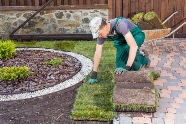 Professional landscaper installing sod and laying stone pathways during a residential landscaping project