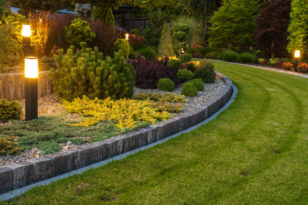Beautifully landscaped garden with stone planters featuring spherical shrubs and yellow-leaf plants alongside a manicured curved lawn showing complete seasonal fertilization and weed control program results