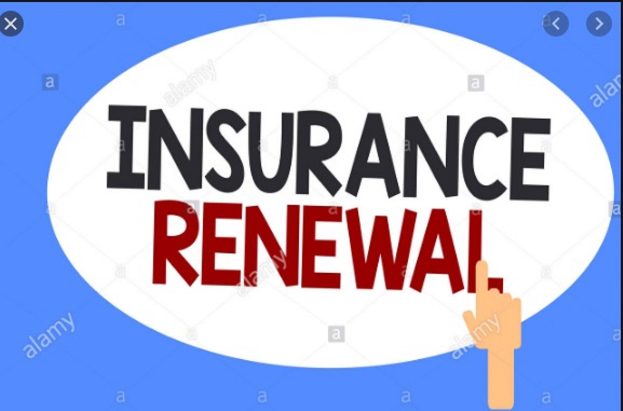 Insurance Renewal Services Pune - VP3 Financial Services