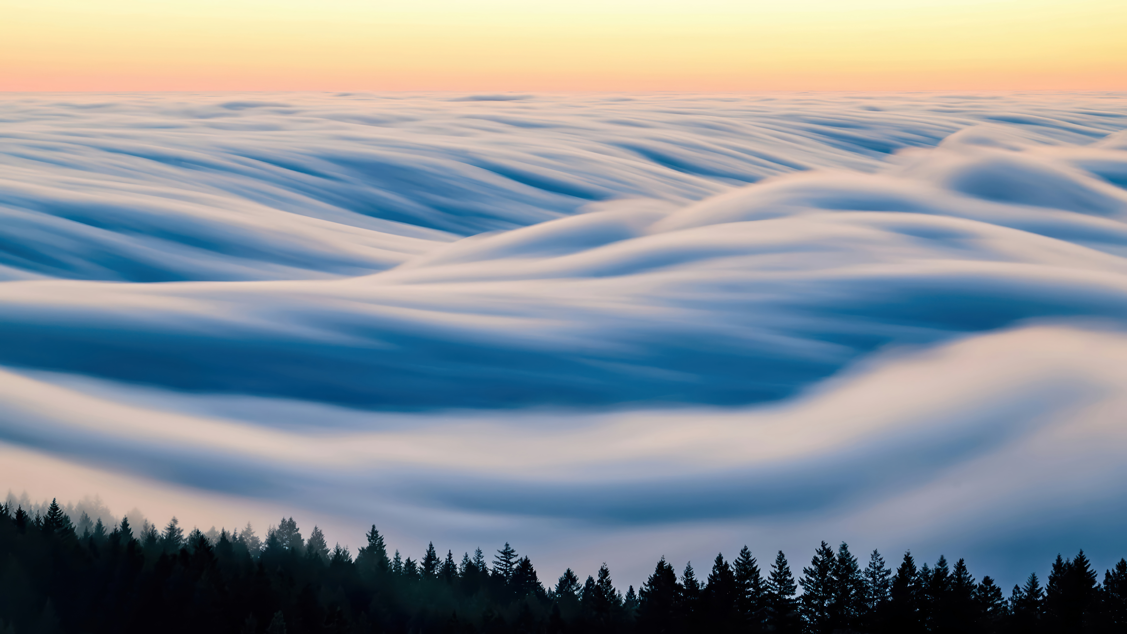 Vast Cloud Sea Blue White Warm Yellow Forest Silhouette