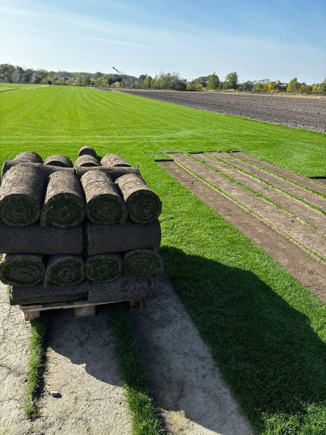 Rollrasen-Rollen auf Paletten