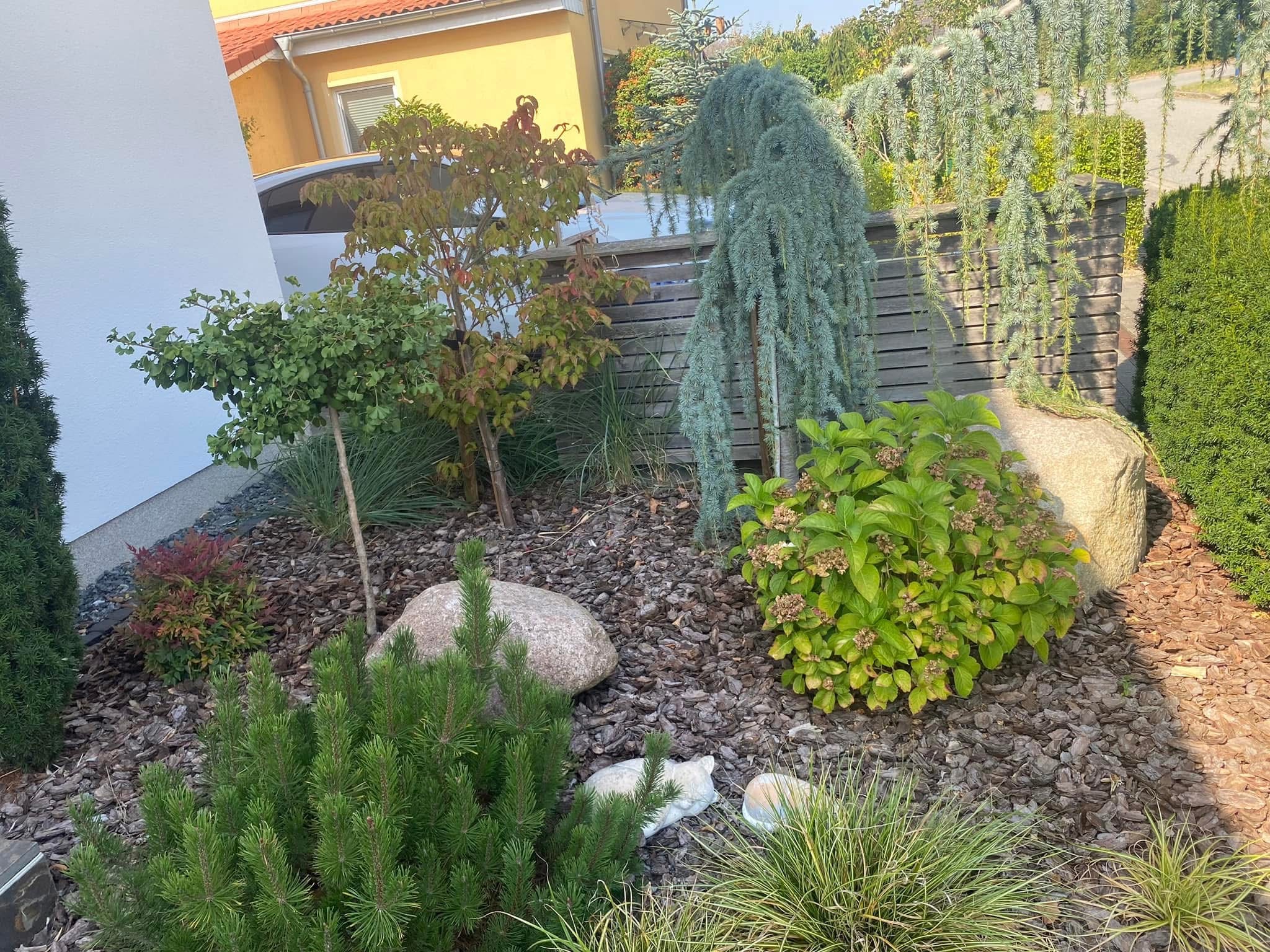 Garten mit Büschen