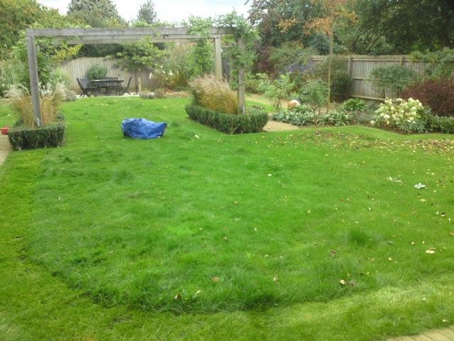 Backyard garden with blue bag and gazebo