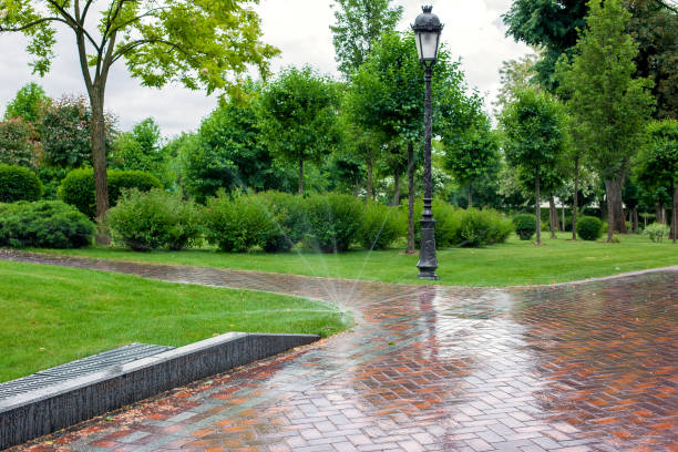 Proper drainage solutions like dry creek beds protect your backyard investment and keep your landscape healthy year-round