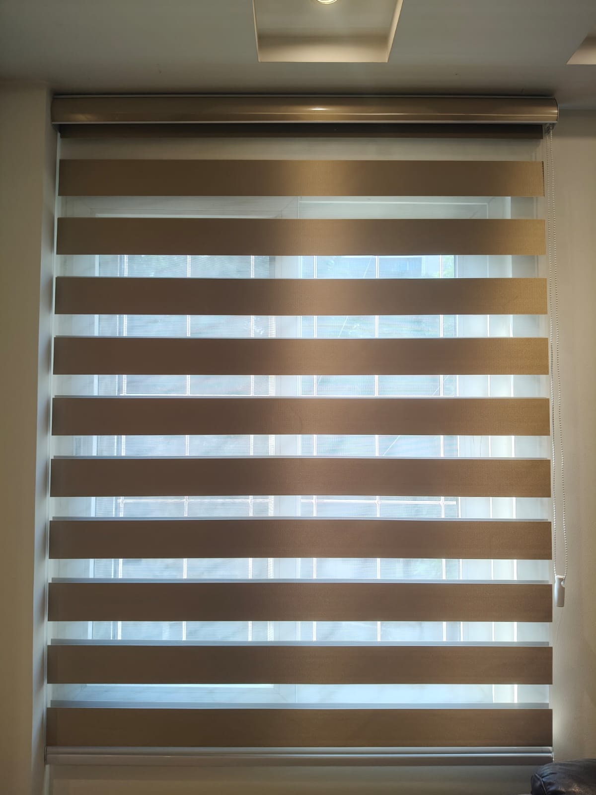 Window Blinds
