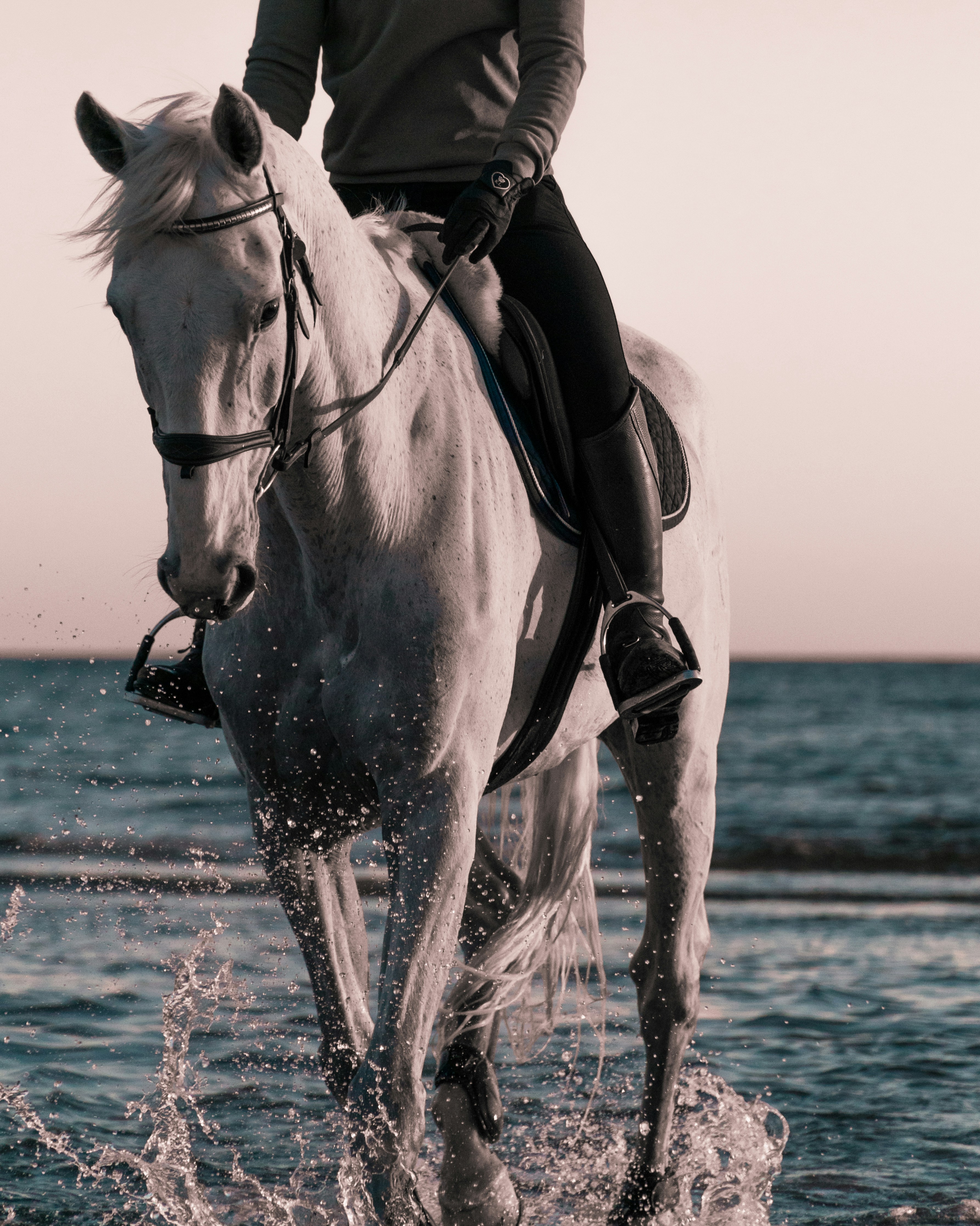 Free Ride