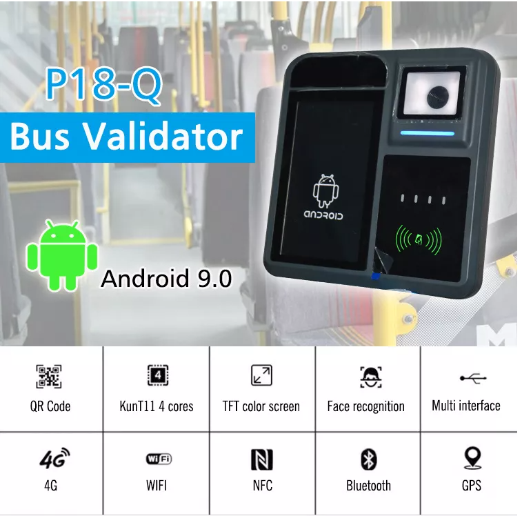 Validador P18-Q