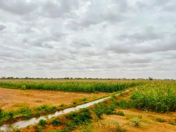 Irrigation canal