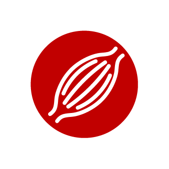 Sprout Icon