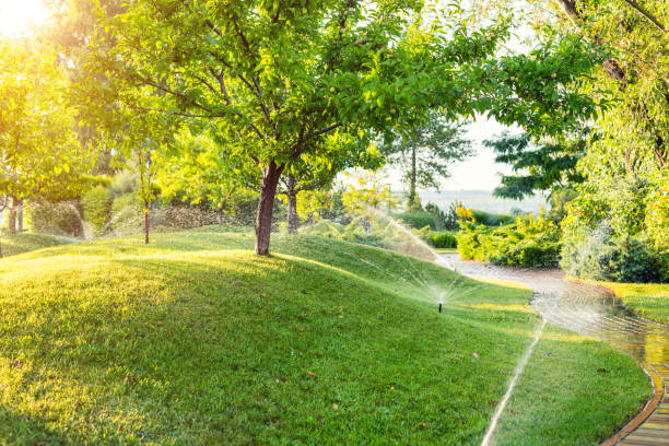 Eco-friendly and smart irrigation trends help maintain lush lawns while conserving water