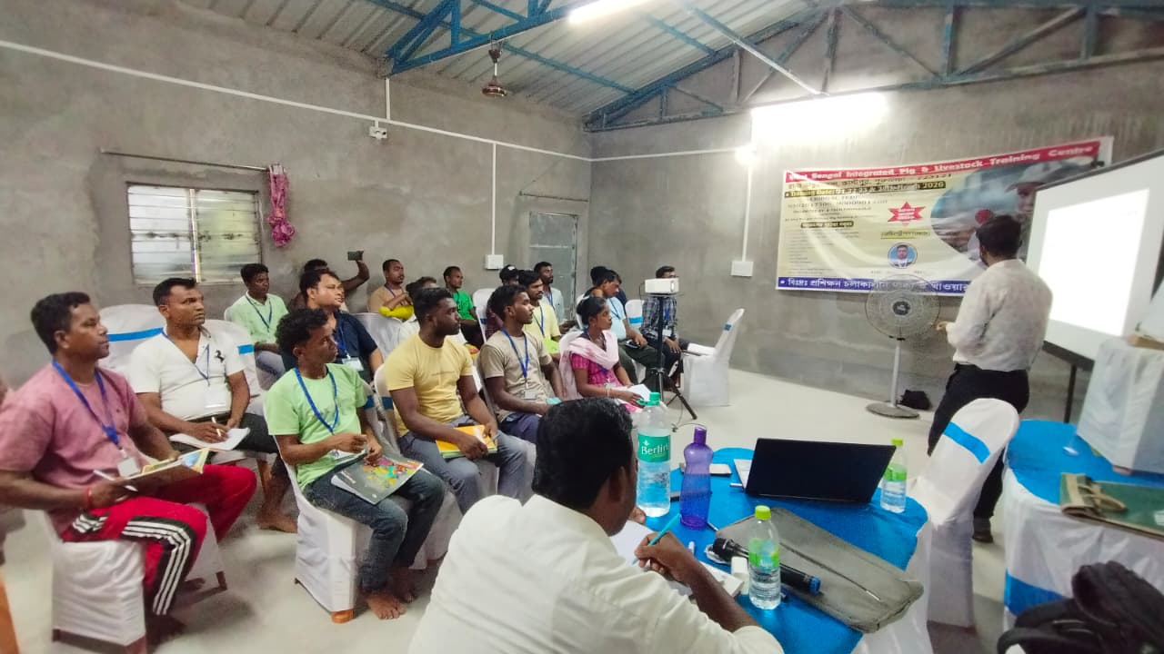 Indoor pig farming training room session