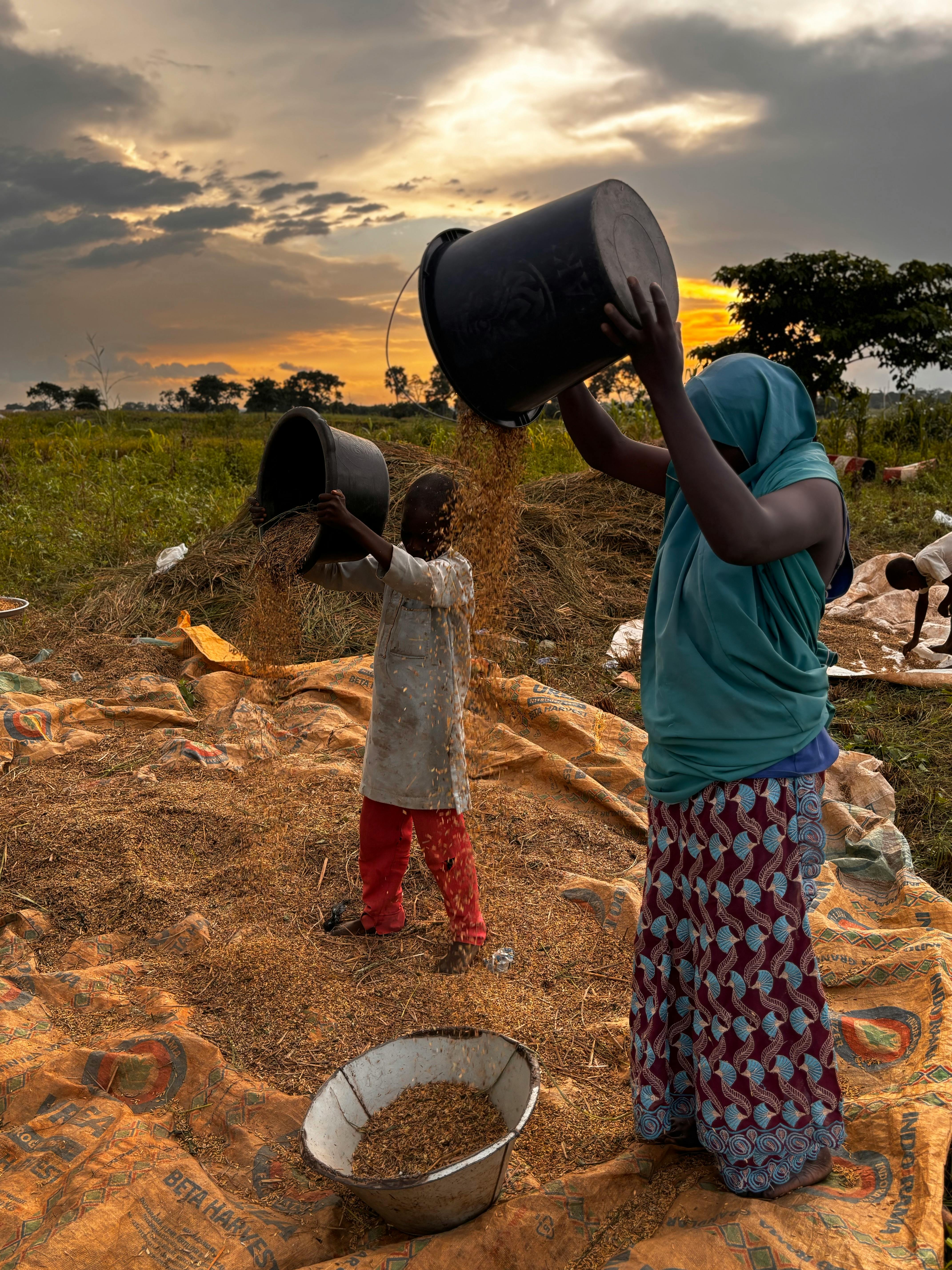 Travail agricole au coucher de soleil en Afrique