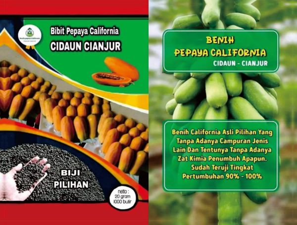 Sachet Bibit Pepaya