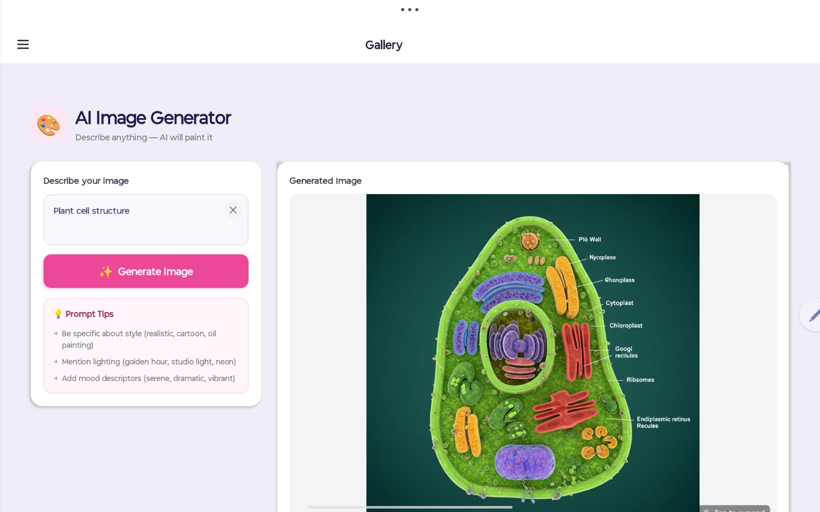 Plant Cell Structure