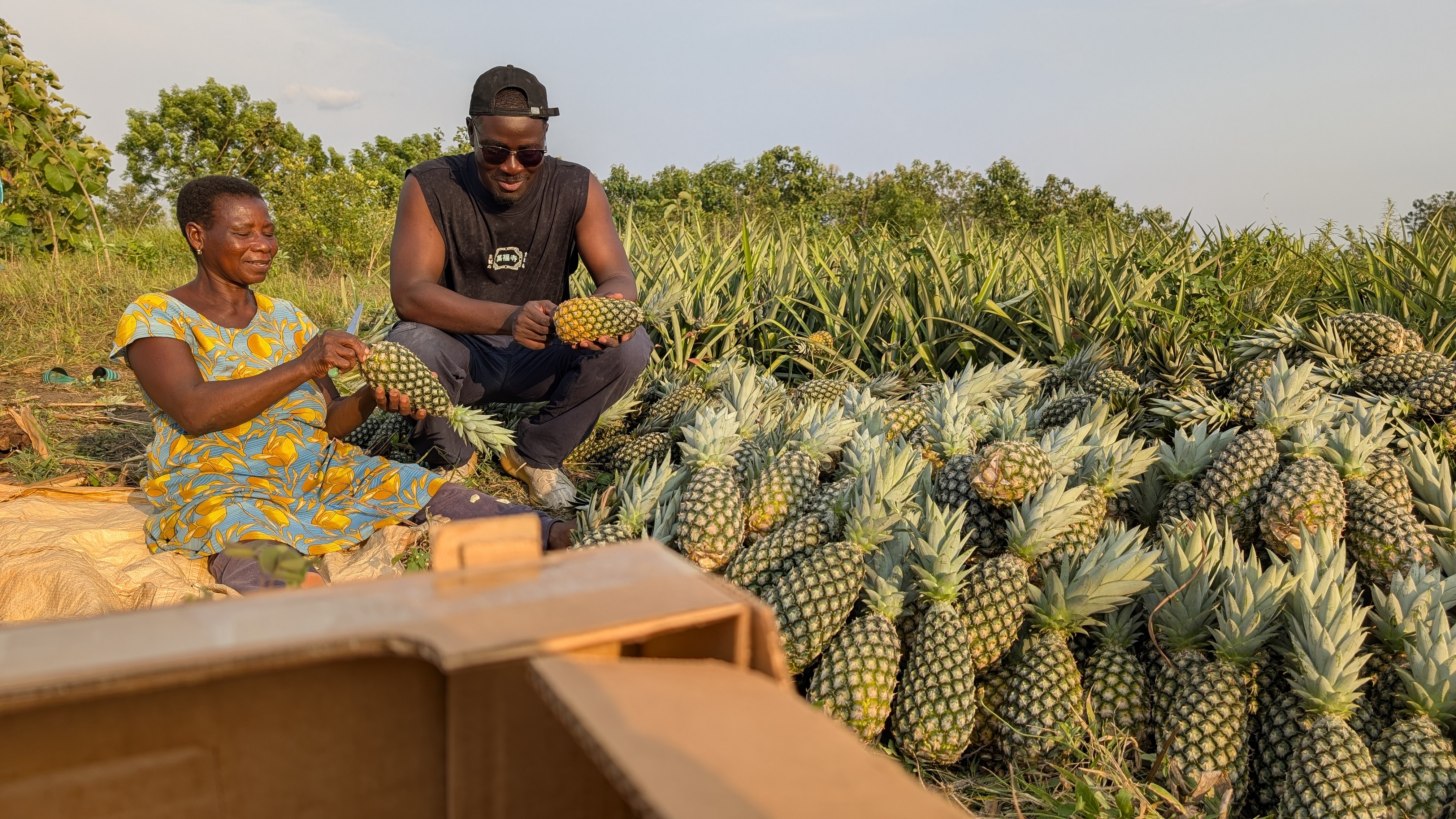Dame assise et homme tenant un ananas
