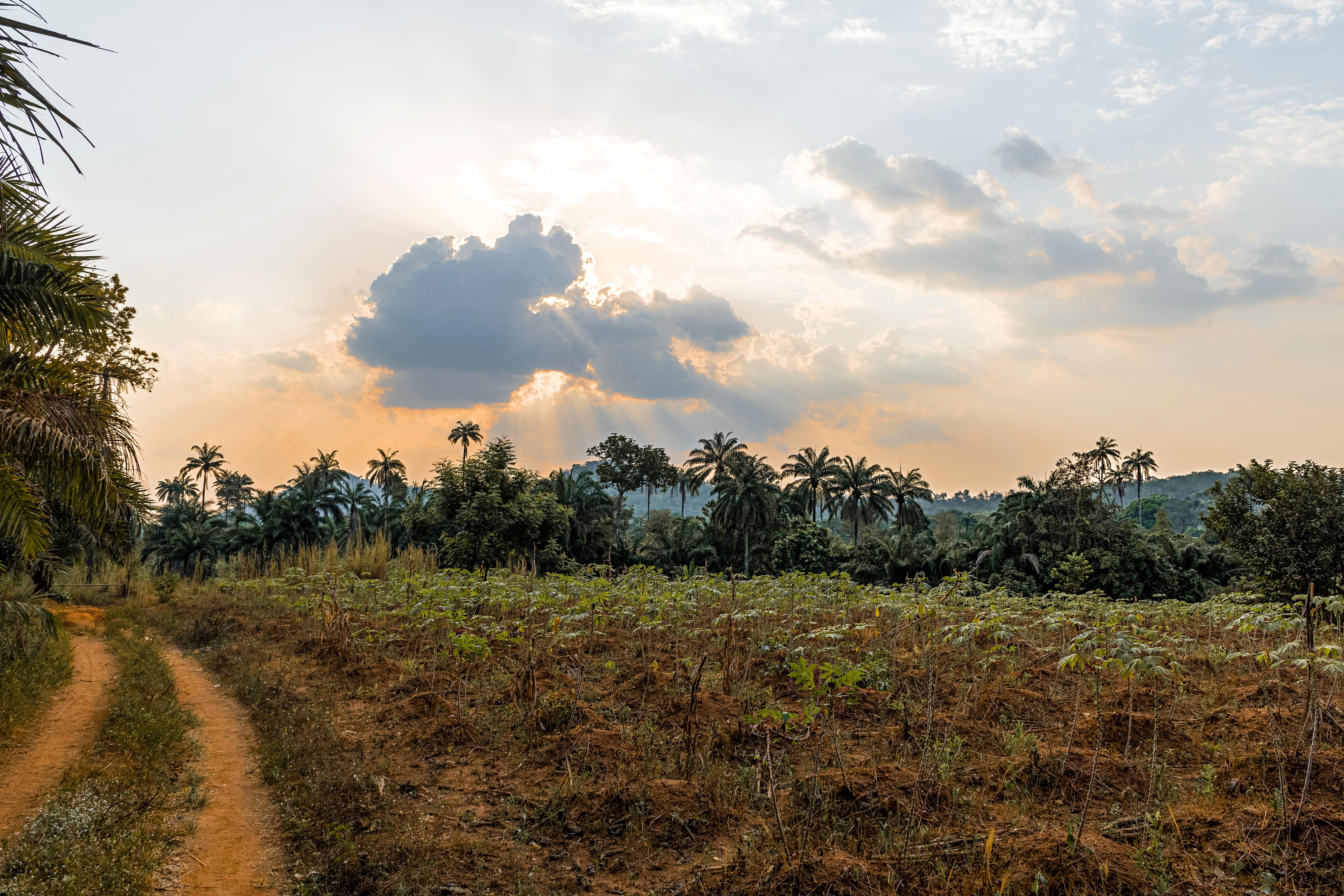 Paysage naturel Afrique