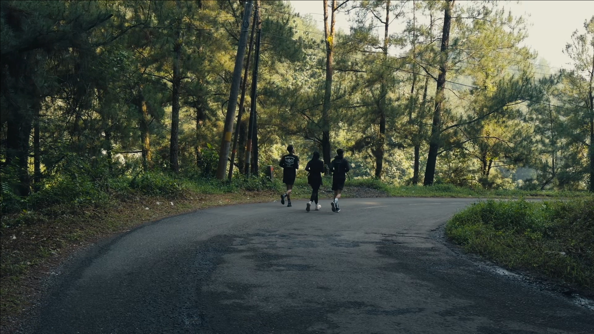 Forest Run