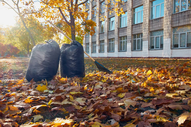 Community property after fall leaf cleanup with collected debris bags near modern building with autumn trees
