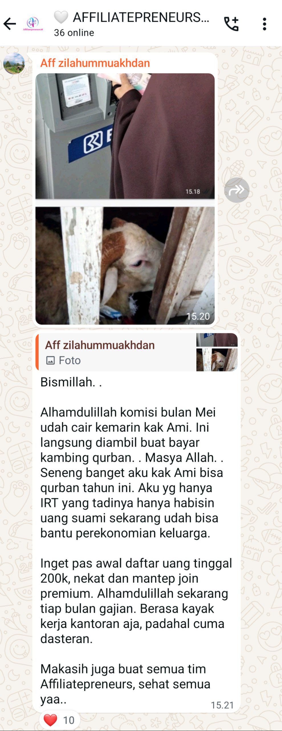 Beli Kambing Qurban dari Komisi