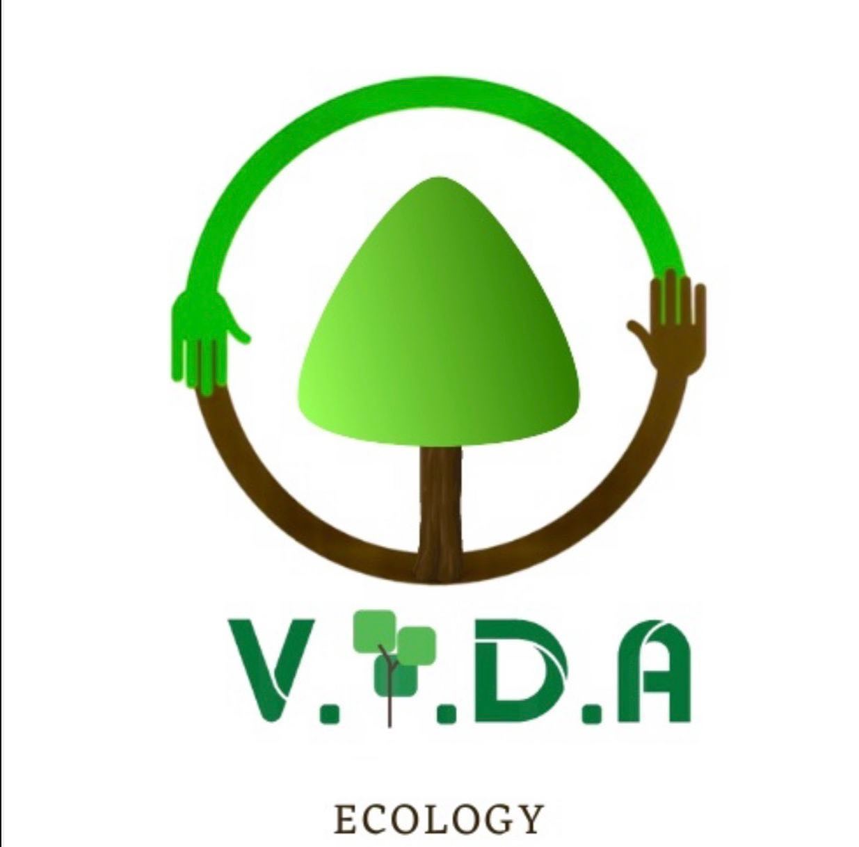 VIDA Logo