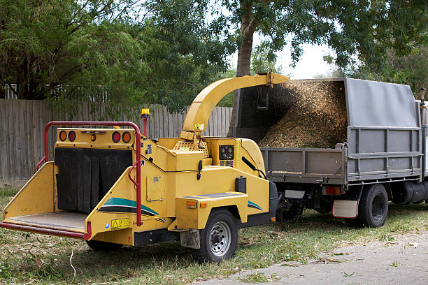 Yellow tree chipper machine loading fresh wood mulch into gray truck bed at a commercial landscaping job site with trees and wooden fence in background showing bulk mulch delivery and production