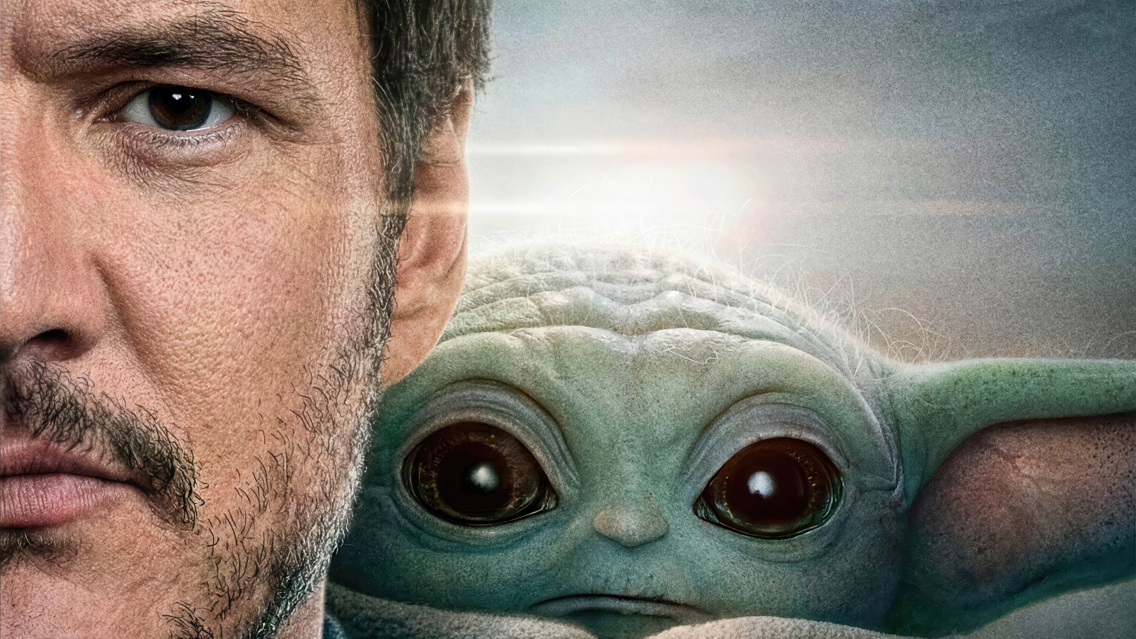 Mandalorian Baby Yoda Portrait Movie