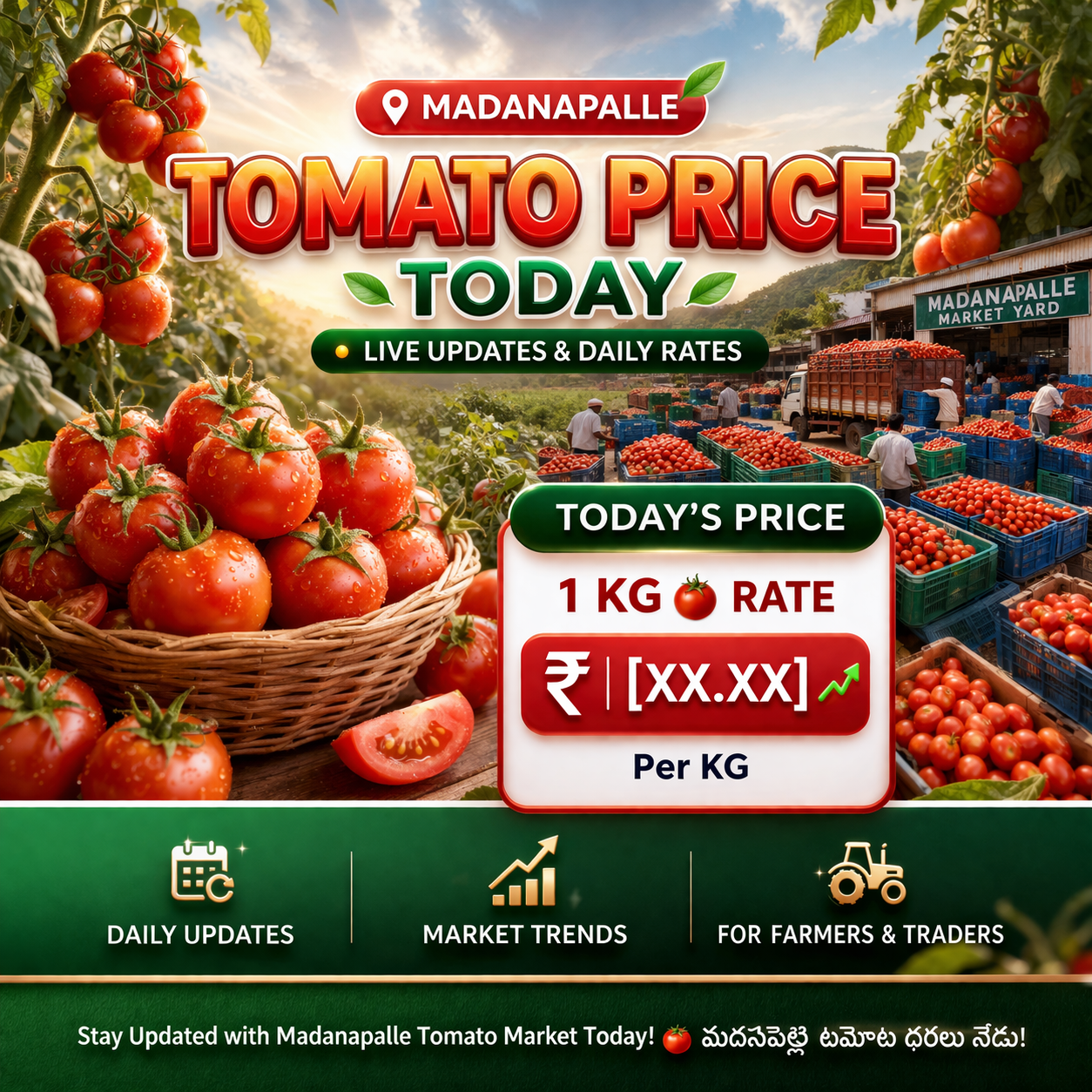 Madanapalle tomato price today live updates showing fresh tomatoes in baskets at the market yard with daily rates per kg and market trends for farmers and traders