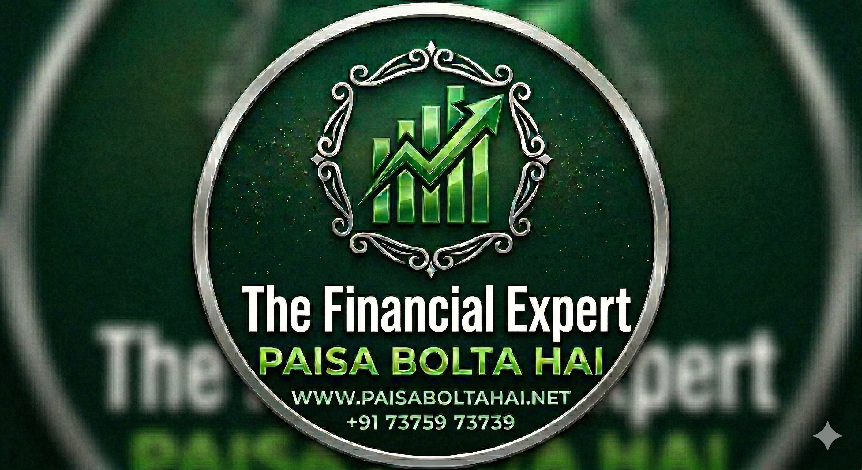 The Financial Expert Logo - Paisa Bolta Hai