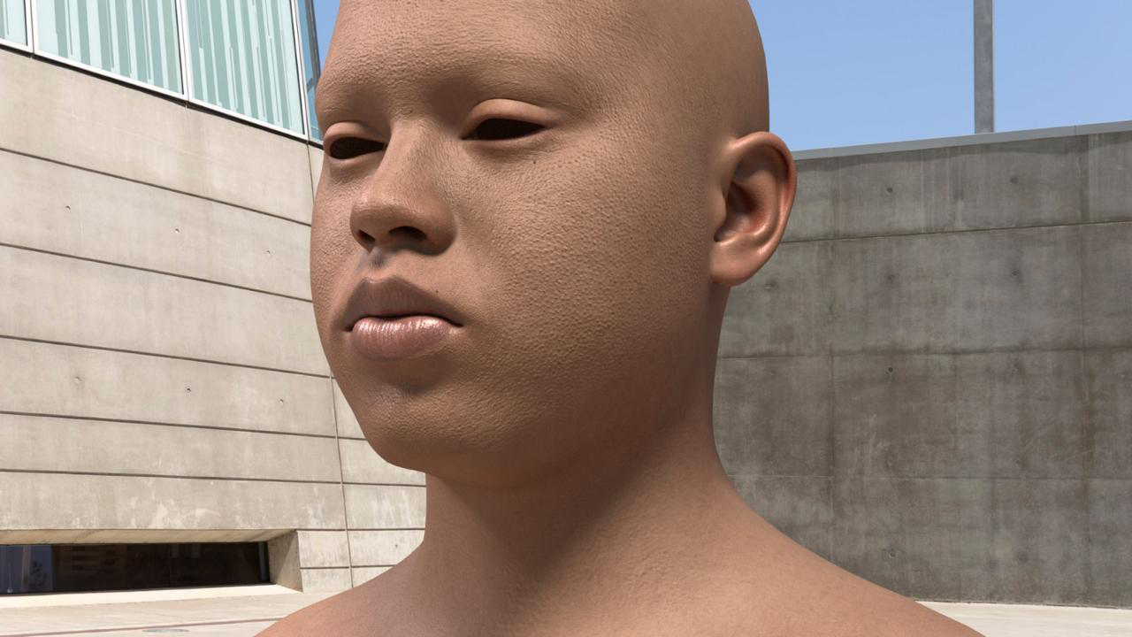Texturing - Head with Skin Texture