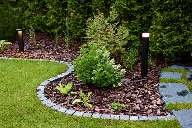 Modern front yard landscaping with pathway lighting and pavers creates stunning evening curb appeal