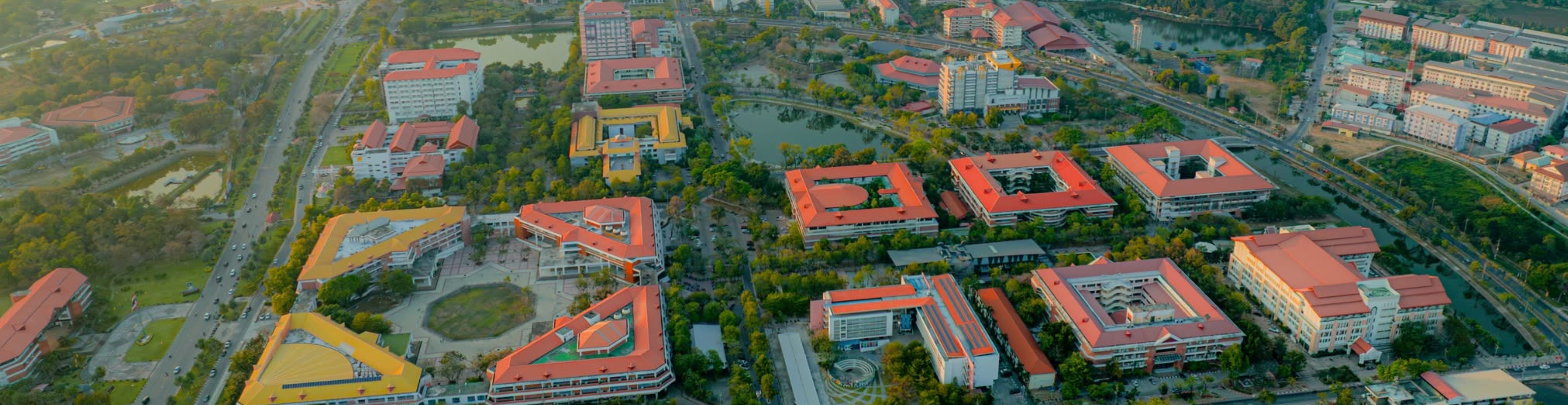 MSU Aerial Campus View