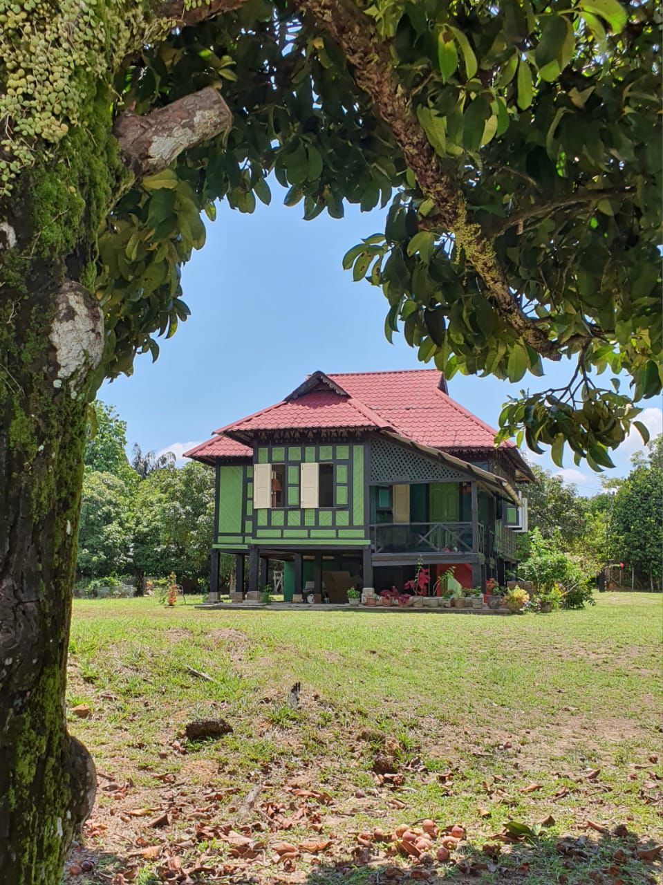 Green House Mela – Rumah hijau dua tingkat