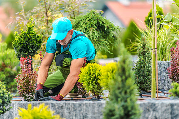 Landscaping technician tending to colorful shrubs and garden plants in Houston TX
