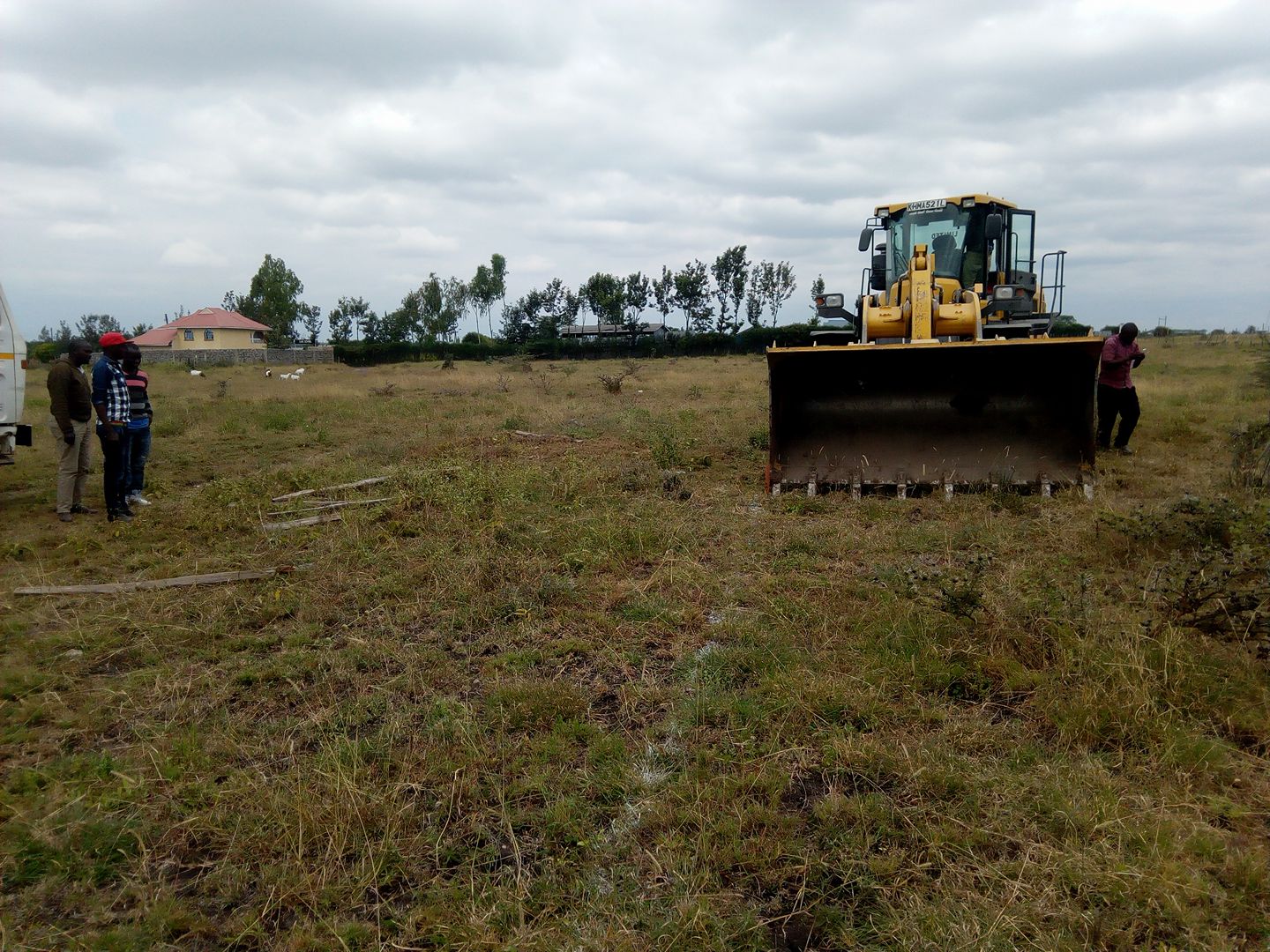Yellow bulldozer on grass