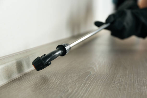 Residential pest control spray treatment along wall and floor