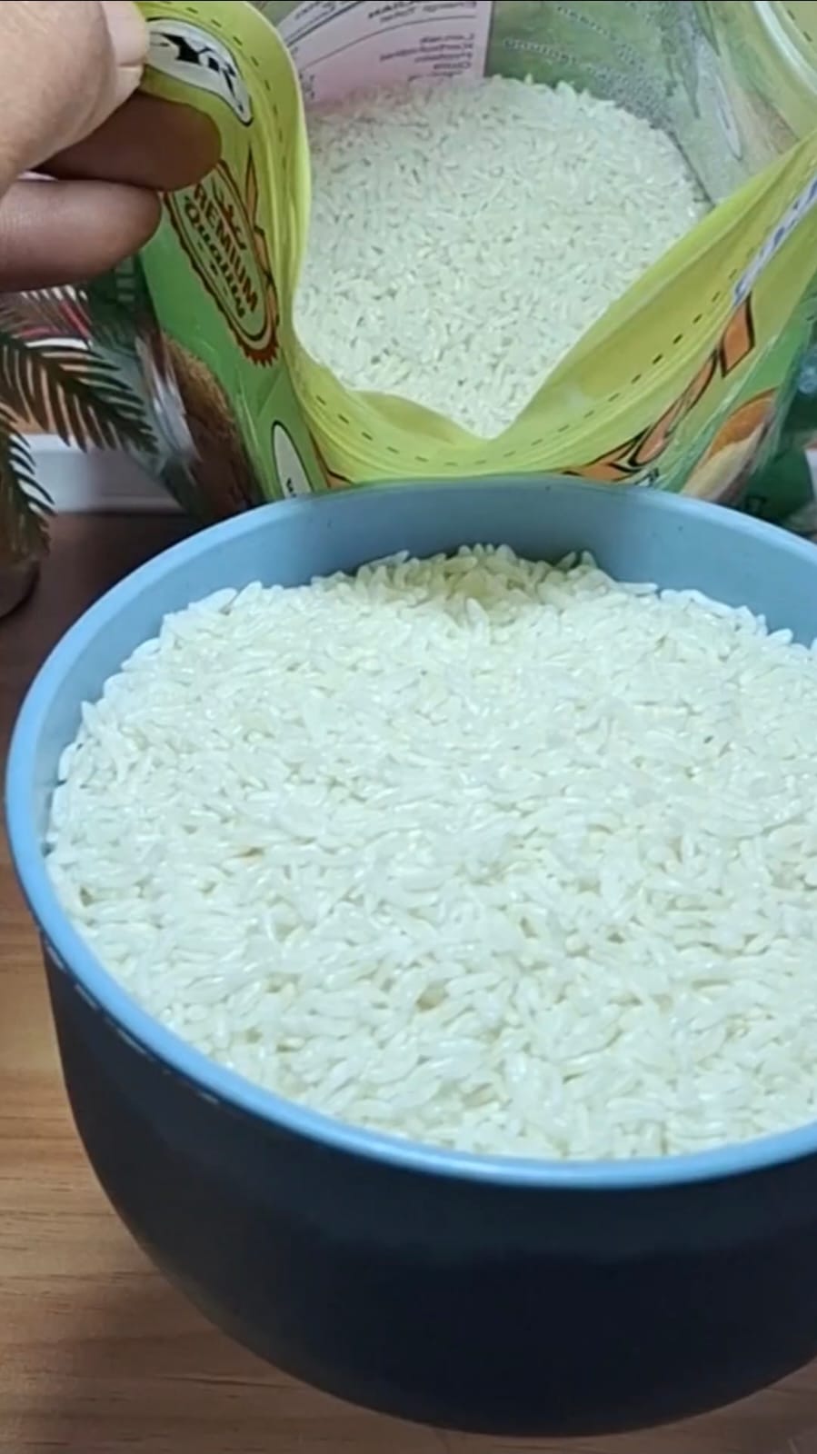 Beras Porang Praktis