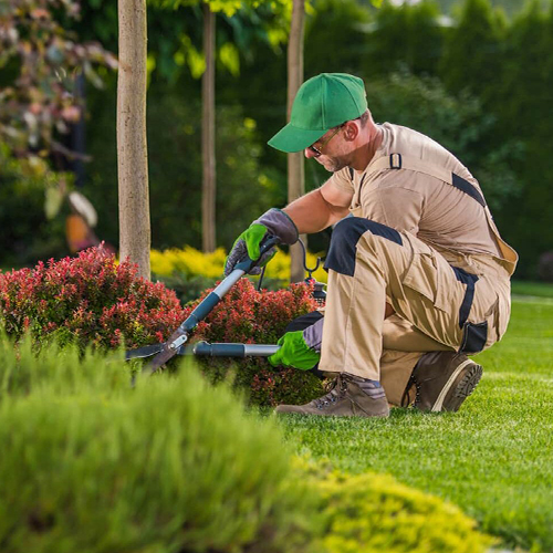 Landscaping service