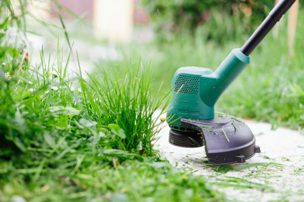 Professional lawn edger tool creating a clean precise cut along a walkway edge with green grass and grass clippings showing expert edging and trimming service results