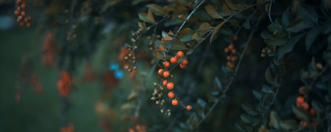 After color grading