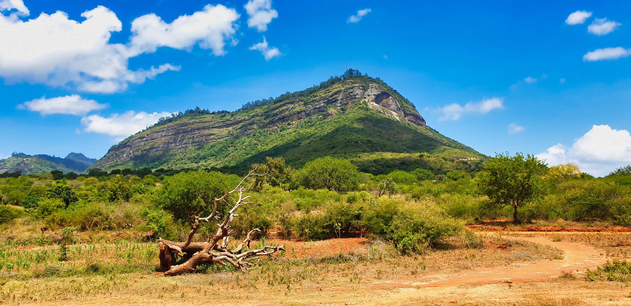 Taita Hills Safari