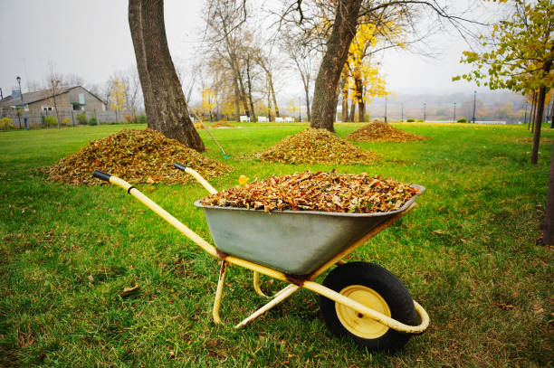 Consistent seasonal yard cleanup keeps your property healthy year-round