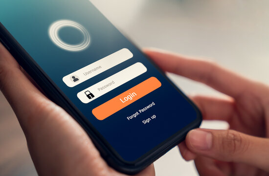 Login Interface