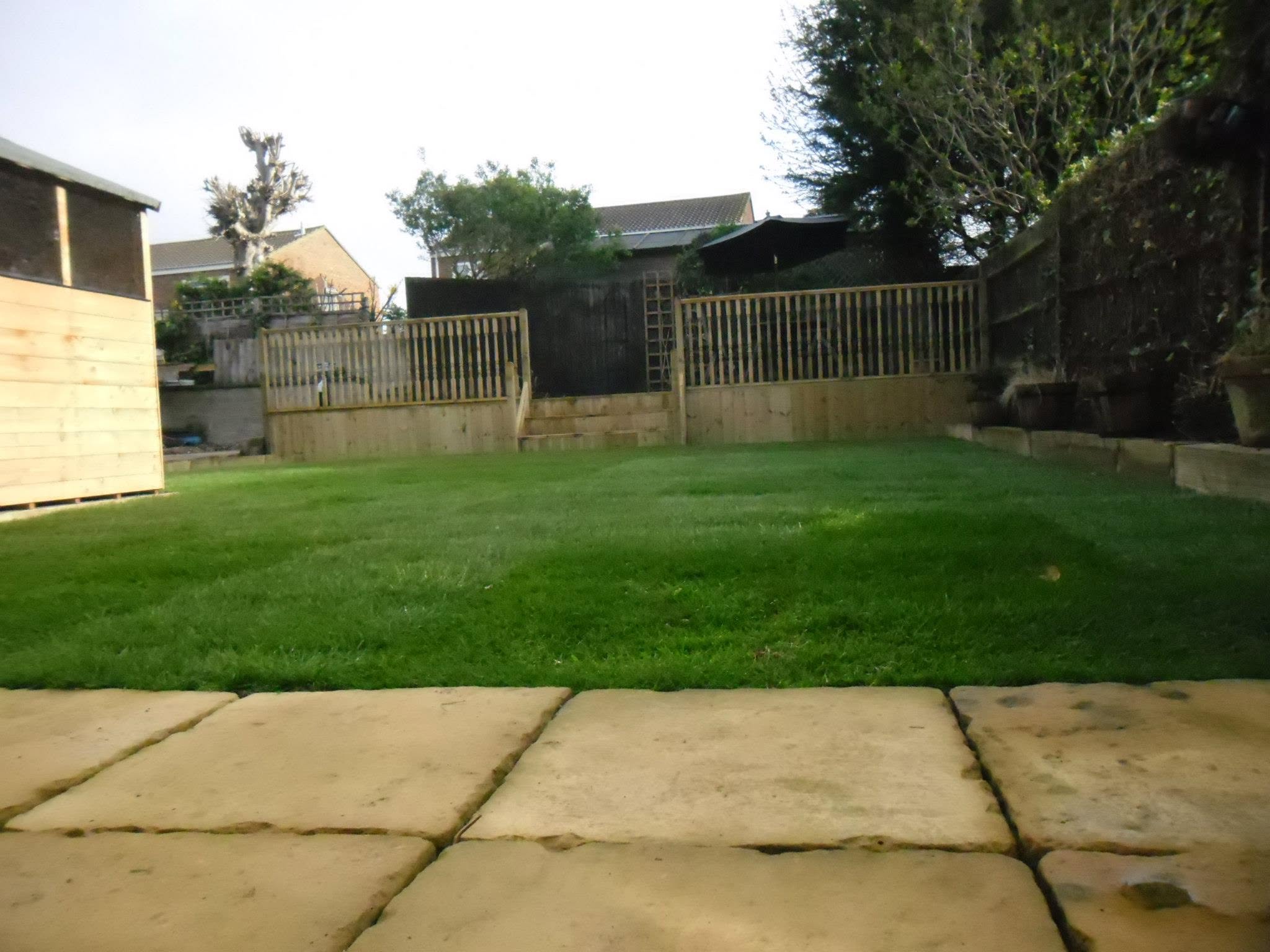 Spacious lawn with stone path and shed