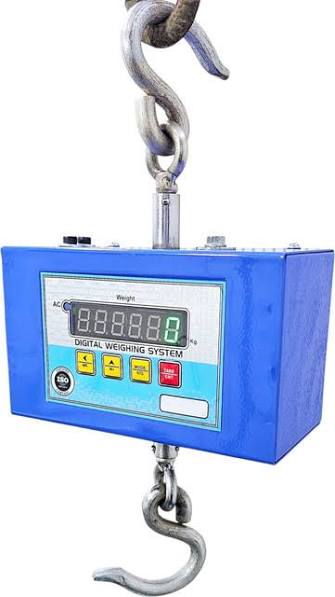 Digital Hanging Scale by Thomson and Castec for industrial weighing in Kurukshetra
