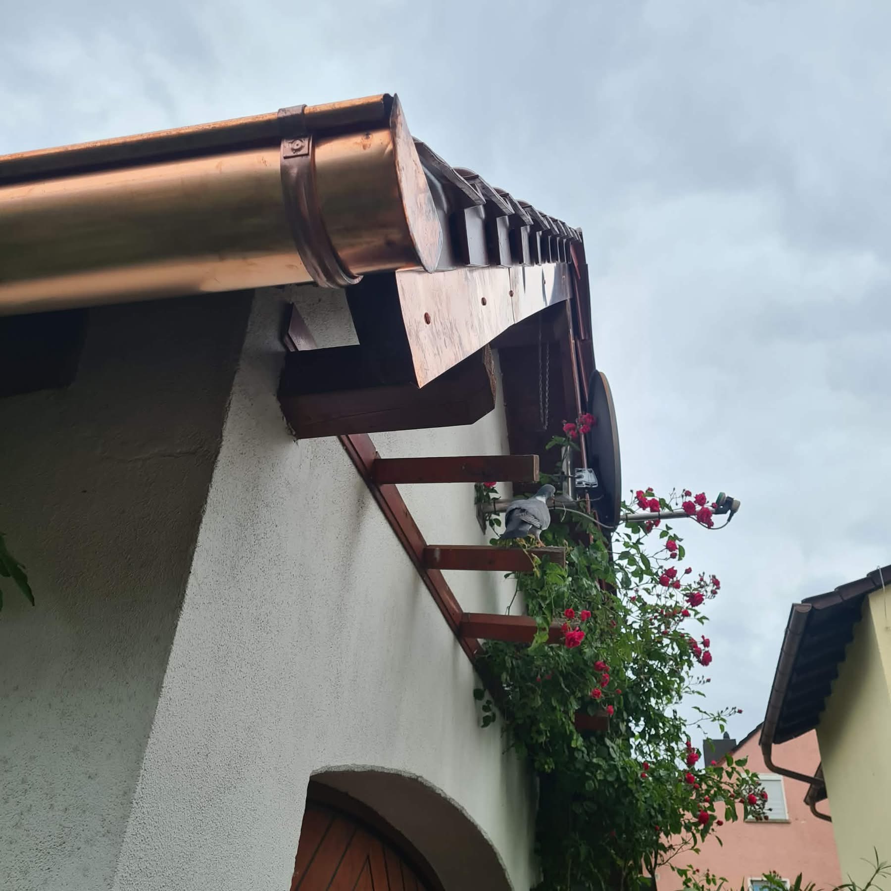 Haus mit Regenwassersystem